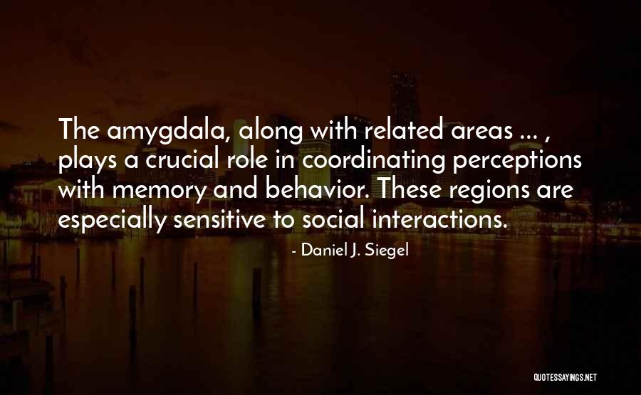 Regions Quotes By Daniel J. Siegel