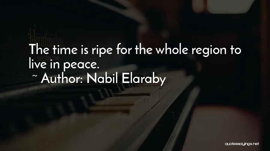 Regions Quotes By Nabil Elaraby