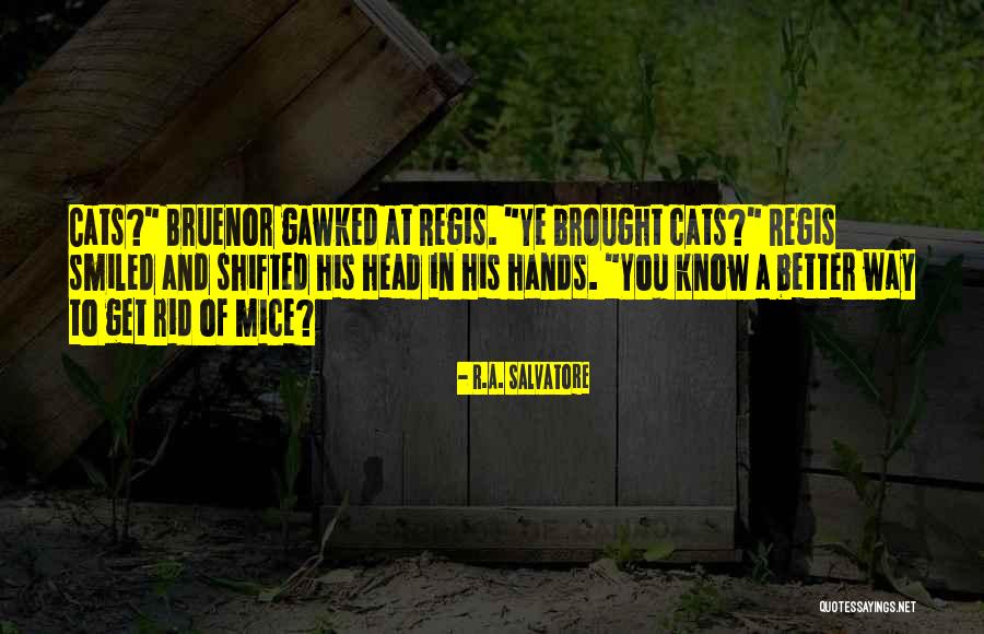 Regis Quotes By R.A. Salvatore Regis Quotes By R.A. Salvatore