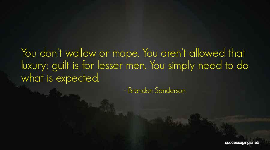 Registrar Of Voters Quotes By Brandon Sanderson Registrar Of Voters Quotes By Brandon Sanderson