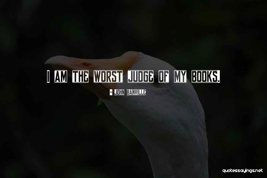 Regius Volleyball Quotes By John Banville Regius Volleyball Quotes By John Banville