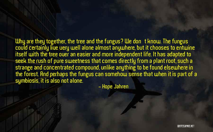 Regnault Painter Quotes By Hope Jahren Regnault Painter Quotes By Hope Jahren