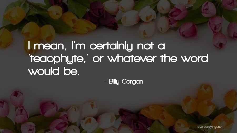 Regnault Salome Quotes By Billy Corgan Regnault Salome Quotes By Billy Corgan