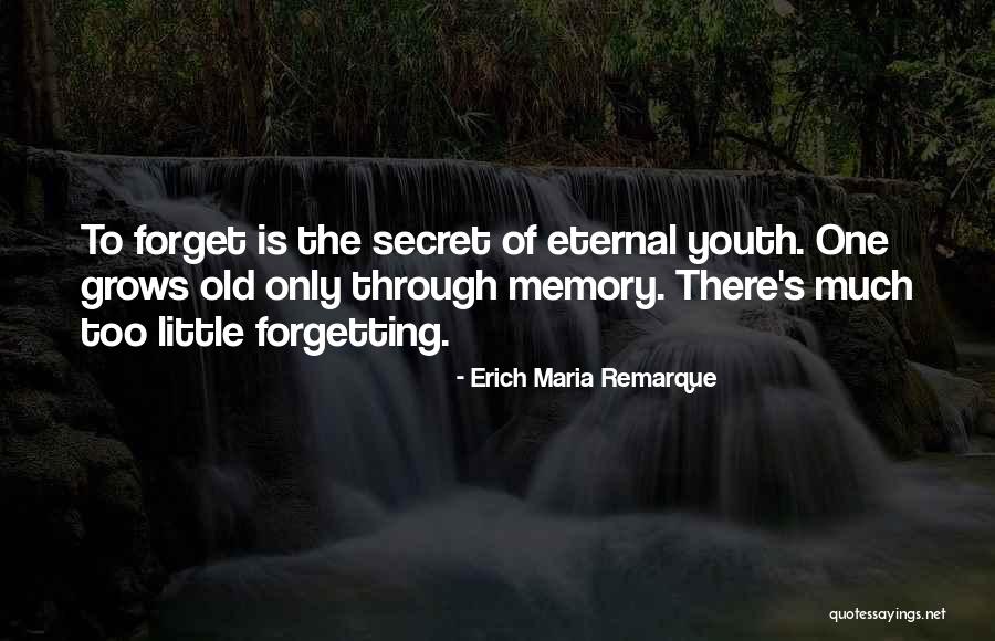 Regocijarse Significa Quotes By Erich Maria Remarque Regocijarse Significa Quotes By Erich Maria Remarque