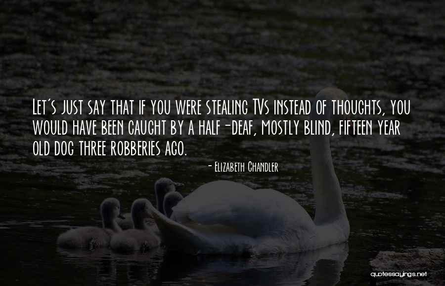 Regola 2 Quotes By Elizabeth Chandler Regola 2 Quotes By Elizabeth Chandler