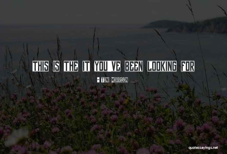 Regolamento Europeo Quotes By Toni Morrison Regolamento Europeo Quotes By Toni Morrison