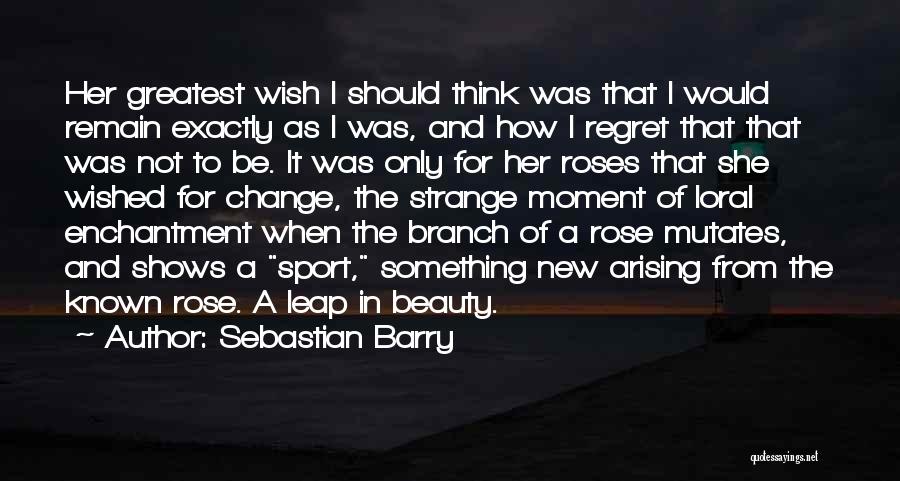 Regret And Change Quotes By Sebastian Barry