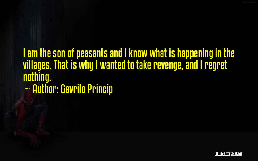 Regret And Revenge Quotes By Gavrilo Princip