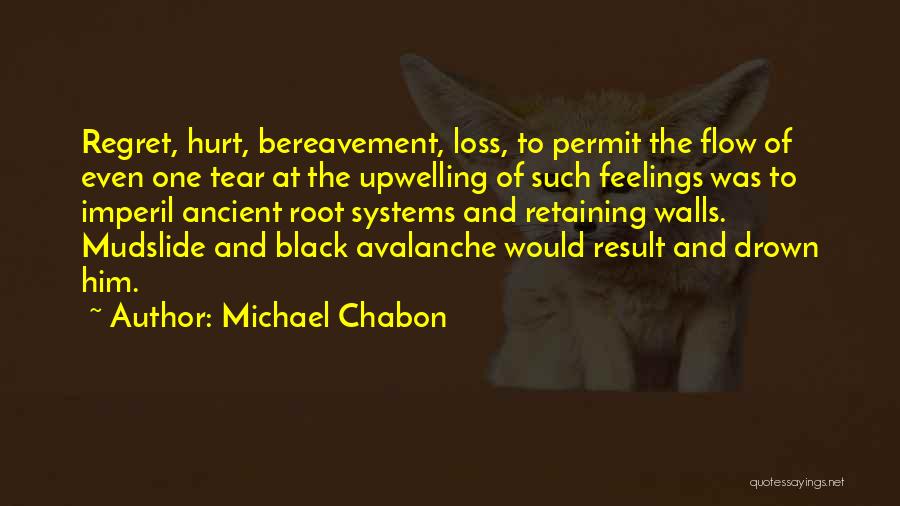 Regret Hurt Quotes By Michael Chabon