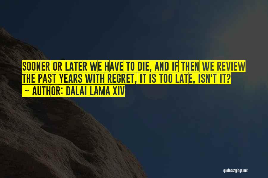 Regret Later Quotes By Dalai Lama XIV