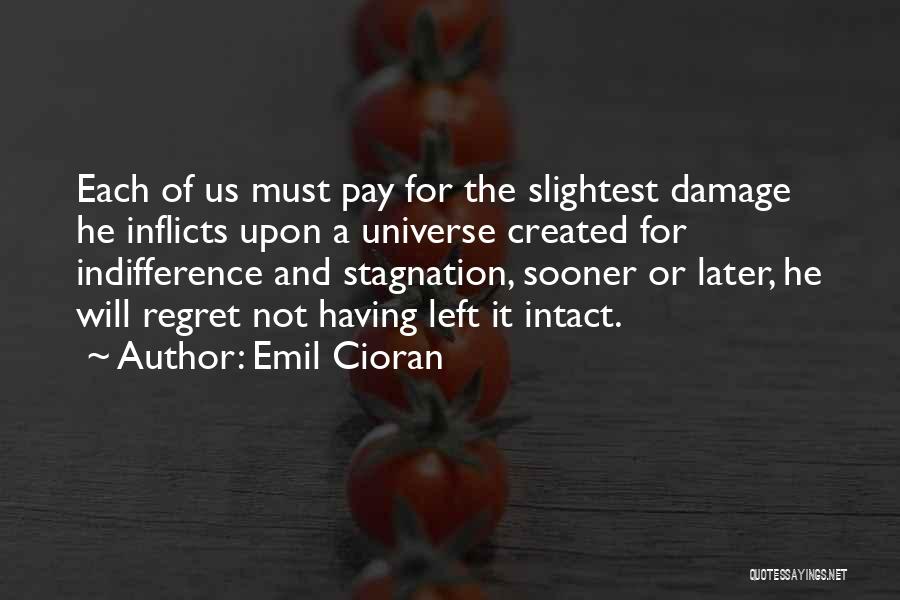 Regret Later Quotes By Emil Cioran