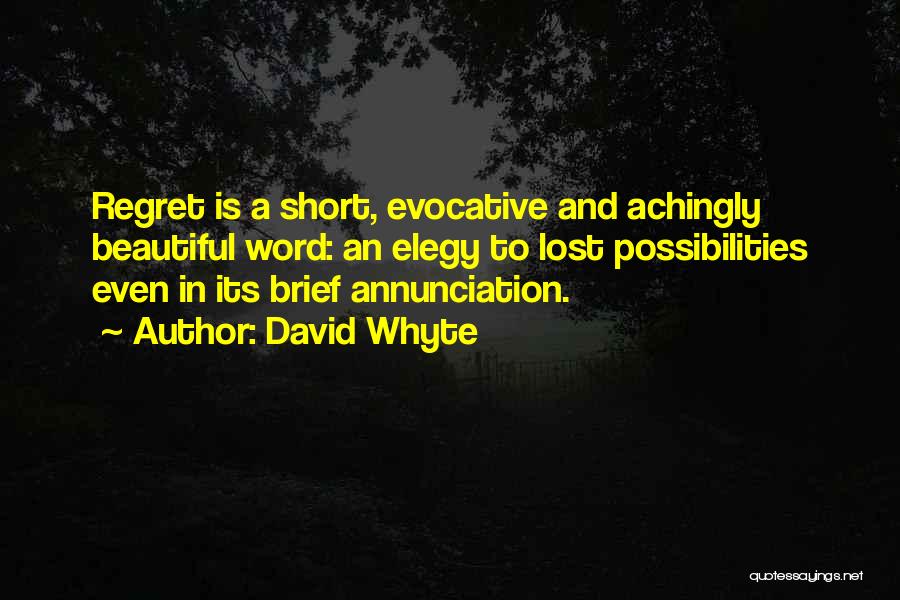 Regret Nothing Short Quotes By David Whyte