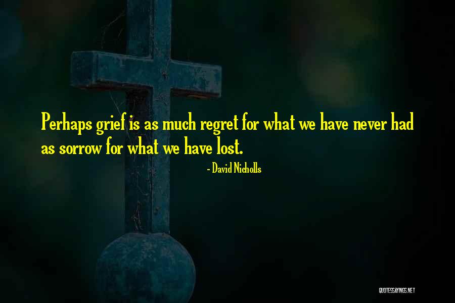 Regret Sorrow Quotes By David Nicholls Regret Sorrow Quotes By David Nicholls