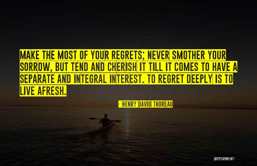 Regret Sorrow Quotes By Henry David Thoreau Regret Sorrow Quotes By Henry David Thoreau
