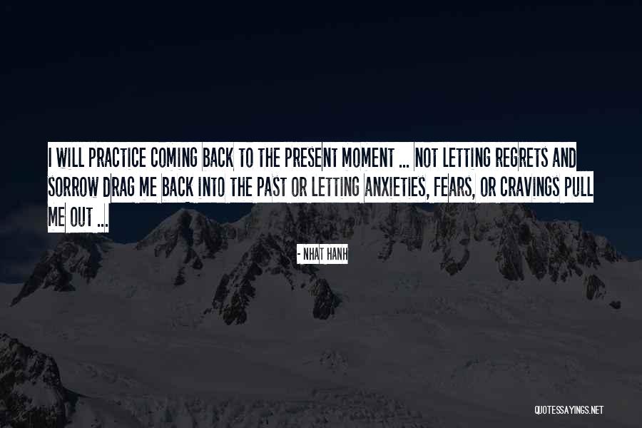 Regret Sorrow Quotes By Nhat Hanh Regret Sorrow Quotes By Nhat Hanh