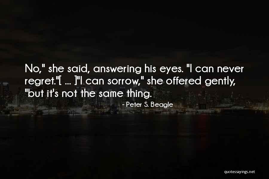Regret Sorrow Quotes By Peter S. Beagle Regret Sorrow Quotes By Peter S. Beagle