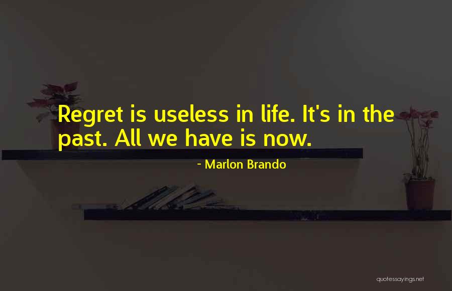 Regret The Past Quotes By Marlon Brando