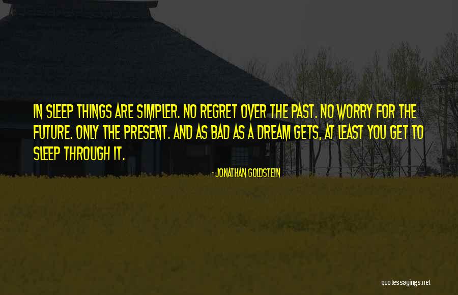 Regret The Things Quotes By Jonathan Goldstein Regret The Things Quotes By Jonathan Goldstein