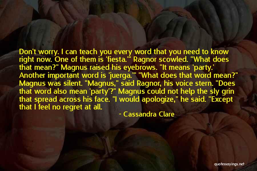 Regret What I Said Quotes By Cassandra Clare