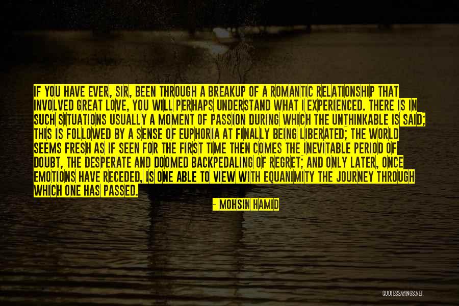 Regret What I Said Quotes By Mohsin Hamid