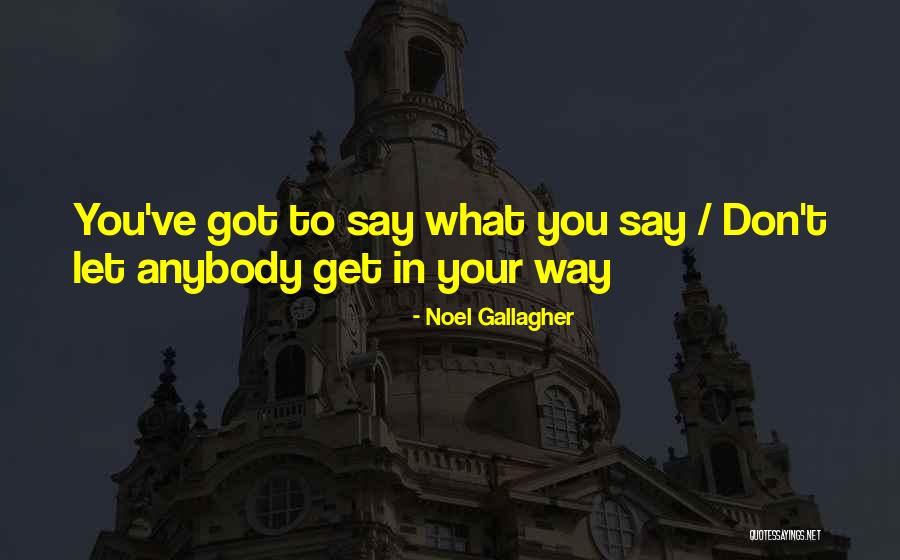 Regretfully Synonym Quotes By Noel Gallagher Regretfully Synonym Quotes By Noel Gallagher