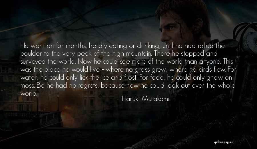 Regrets Quotes By Haruki Murakami Regrets Quotes By Haruki Murakami