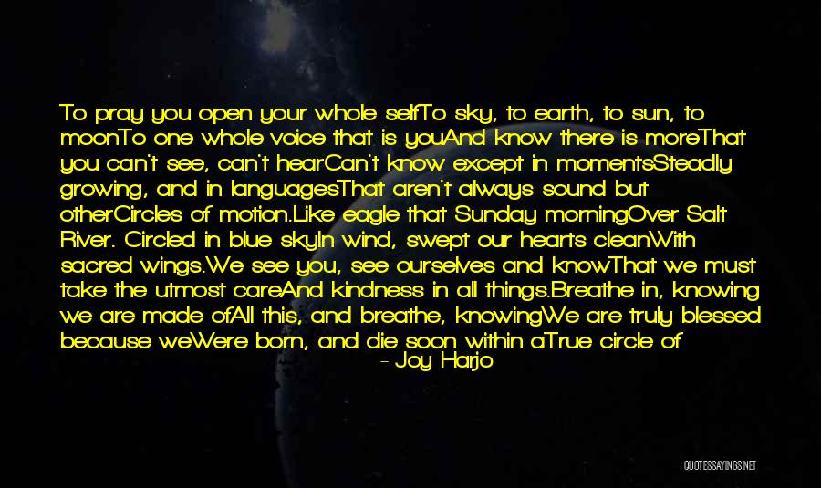 Regretting Quotes Quotes By Joy Harjo Regretting Quotes Quotes By Joy Harjo