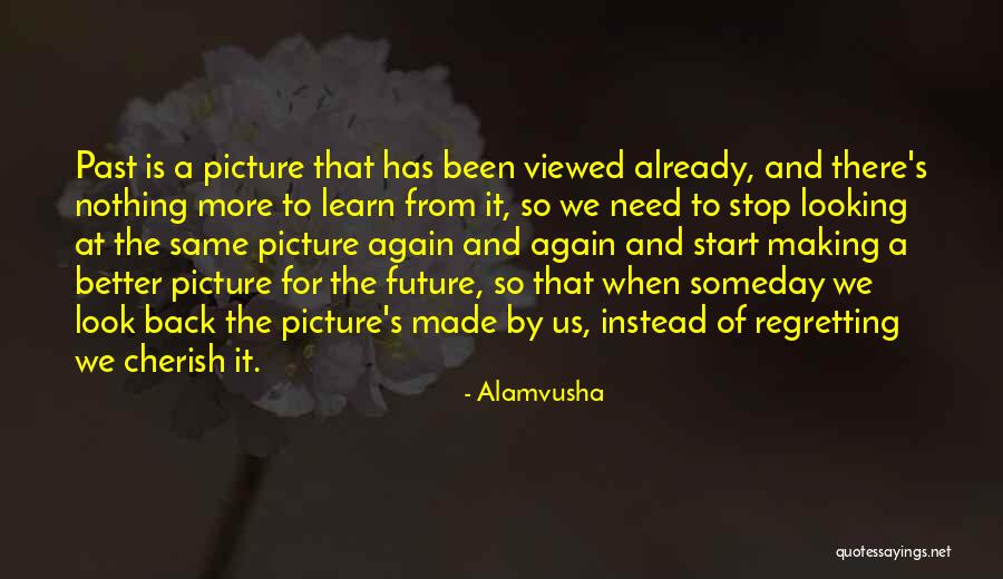 Regretting The Past Quotes By Alamvusha