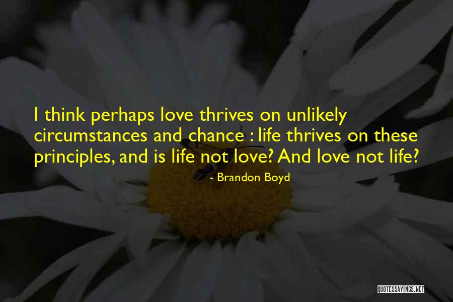 Reguero Translation Quotes By Brandon Boyd Reguero Translation Quotes By Brandon Boyd