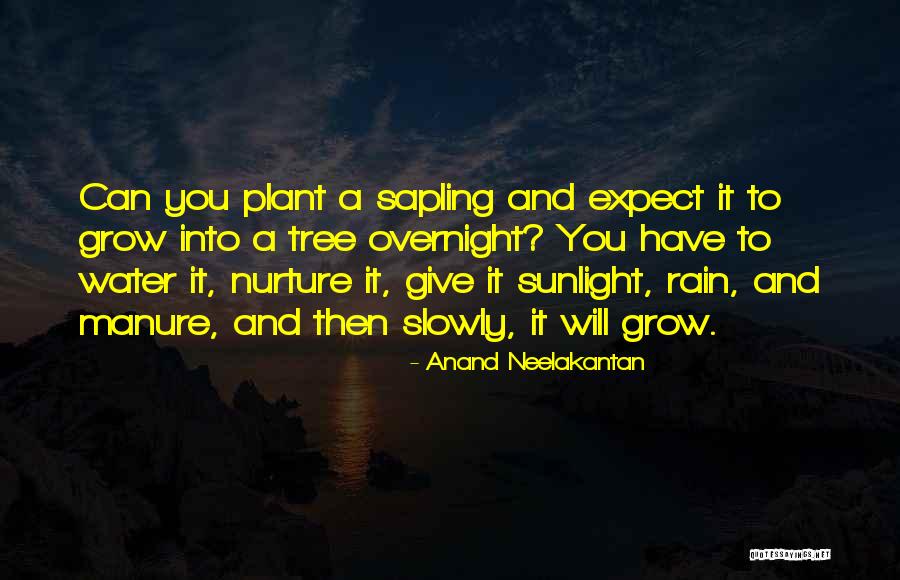 Regular Expression Unmatched Quotes By Anand Neelakantan Regular Expression Unmatched Quotes By Anand Neelakantan