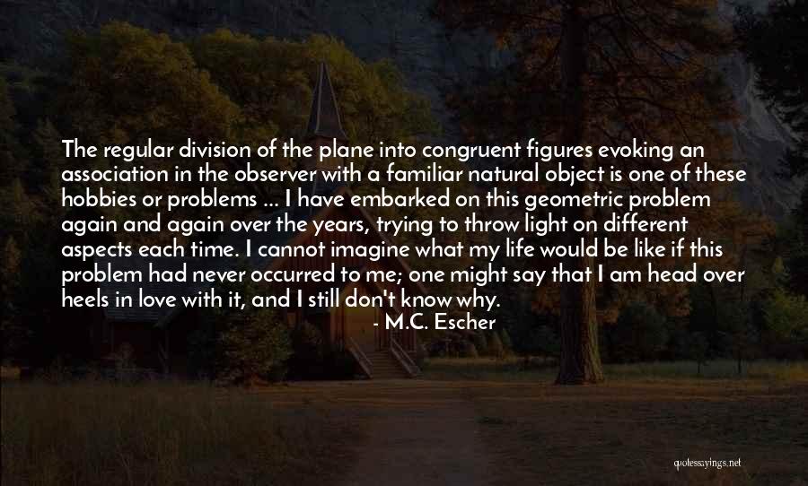 Regular Life Quotes By M.C. Escher Regular Life Quotes By M.C. Escher
