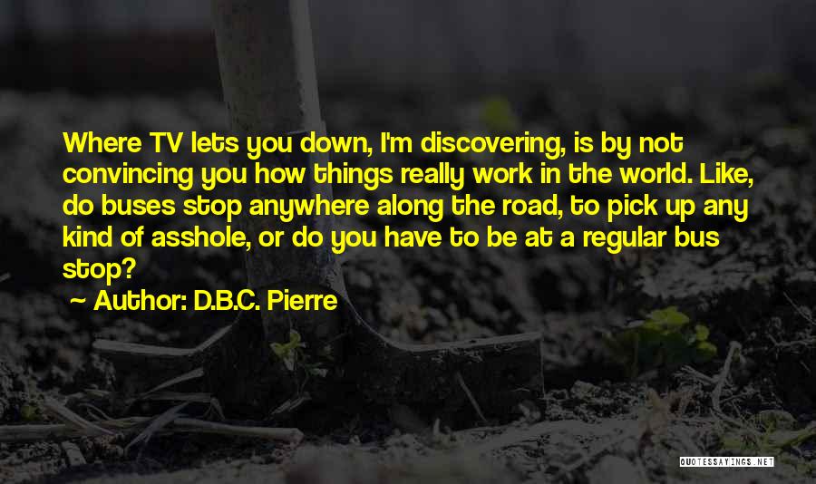 Regular Work Quotes By D.B.C. Pierre