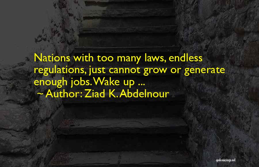 Regulations Quotes By Ziad K. Abdelnour