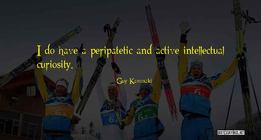 Regusa Power Quotes By Guy Kawasaki