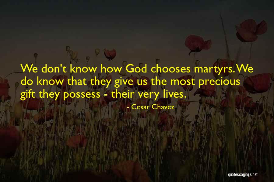 Rehaan Monkey Quotes By Cesar Chavez Rehaan Monkey Quotes By Cesar Chavez