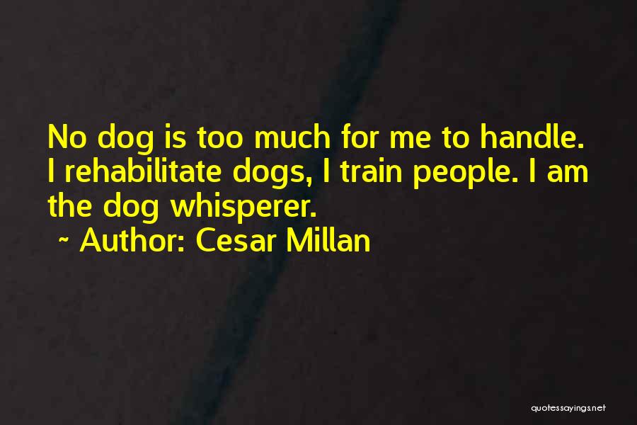 Rehabilitate Quotes By Cesar Millan