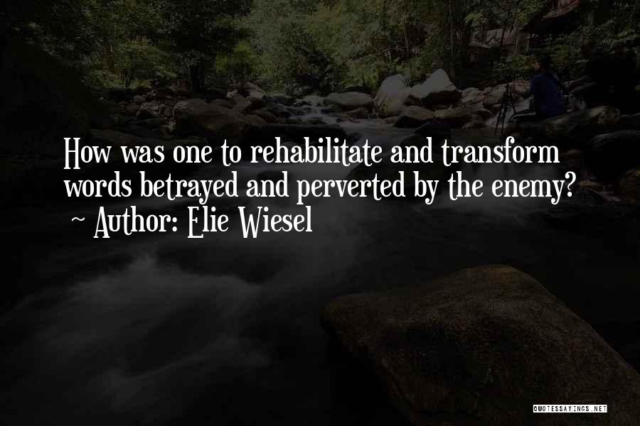 Rehabilitate Quotes By Elie Wiesel