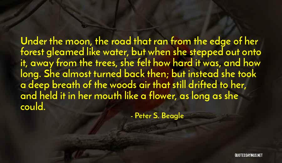 Rehersal Quotes By Peter S. Beagle Rehersal Quotes By Peter S. Beagle