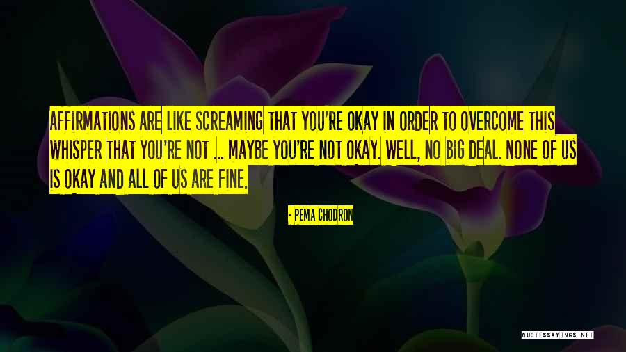 Rehfeld Equipment Quotes By Pema Chodron Rehfeld Equipment Quotes By Pema Chodron