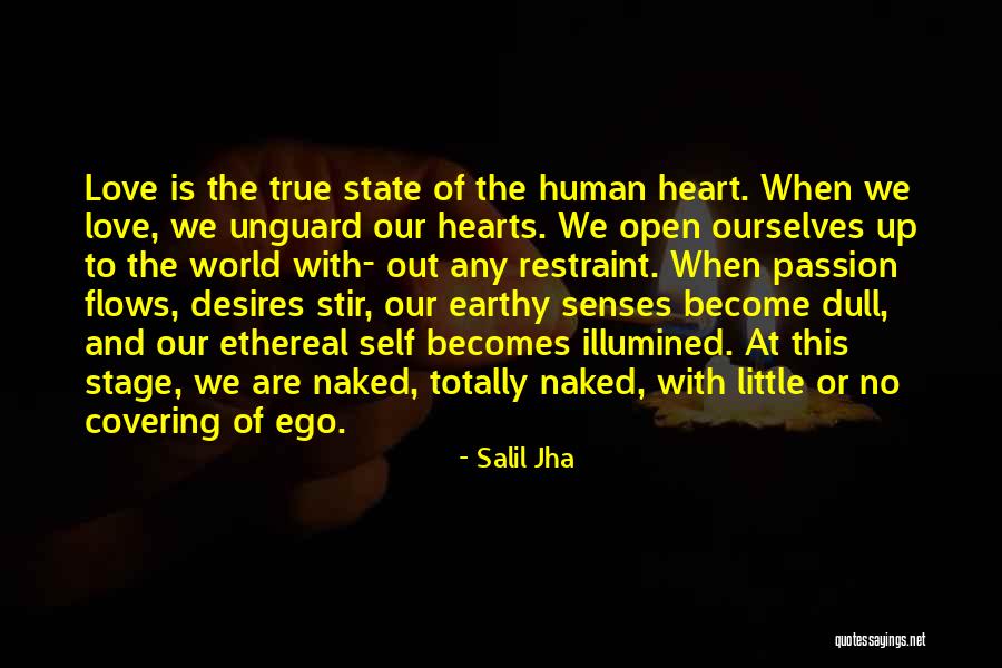 Rehnquist Design Quotes By Salil Jha Rehnquist Design Quotes By Salil Jha
