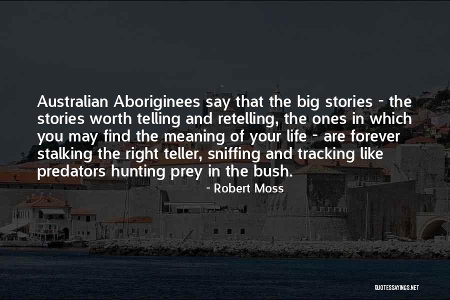 Rehoming Quotes By Robert Moss Rehoming Quotes By Robert Moss
