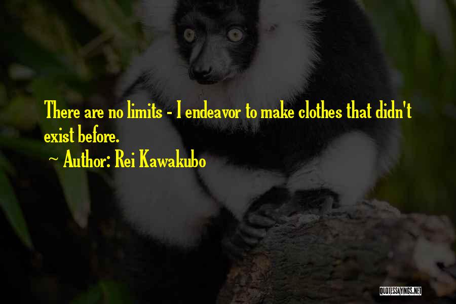 Rei Kawakubo Quotes 309659