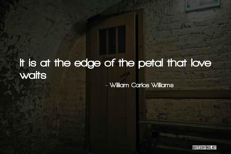 Reibenstein Quotes By William Carlos Williams Reibenstein Quotes By William Carlos Williams
