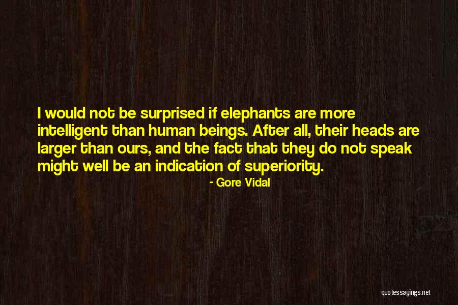 Reiboldt Quotes By Gore Vidal Reiboldt Quotes By Gore Vidal