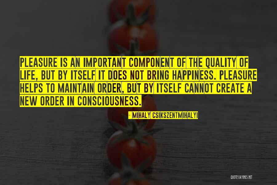 Reichmann Brothers Quotes By Mihaly Csikszentmihalyi Reichmann Brothers Quotes By Mihaly Csikszentmihalyi