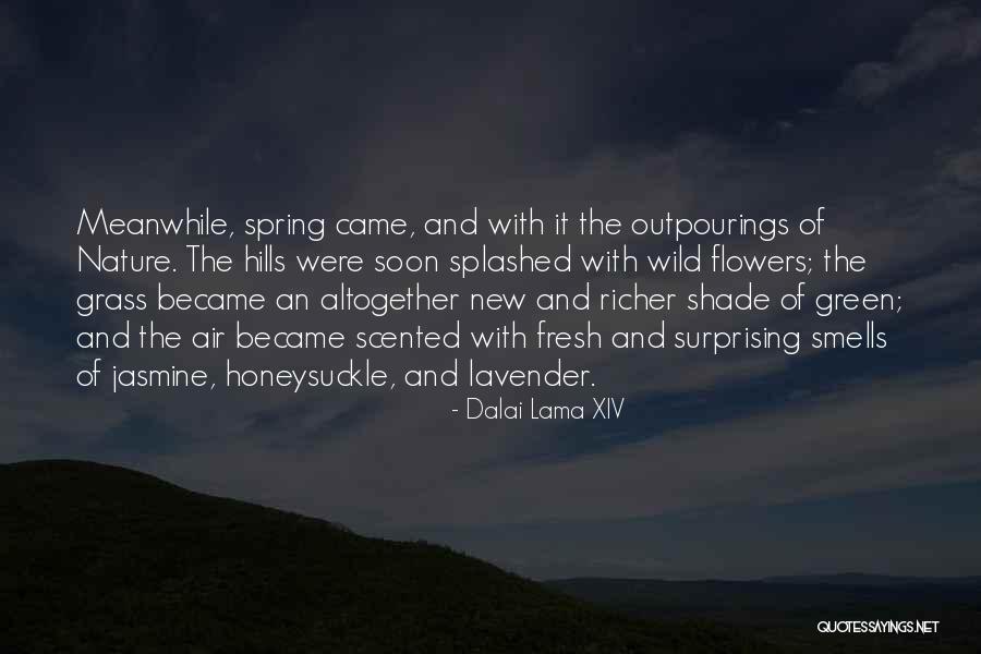 Reichsfuhrer Quotes By Dalai Lama XIV Reichsfuhrer Quotes By Dalai Lama XIV