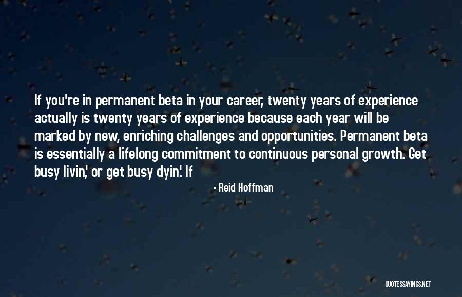 Reid Hoffman Quotes 1913741