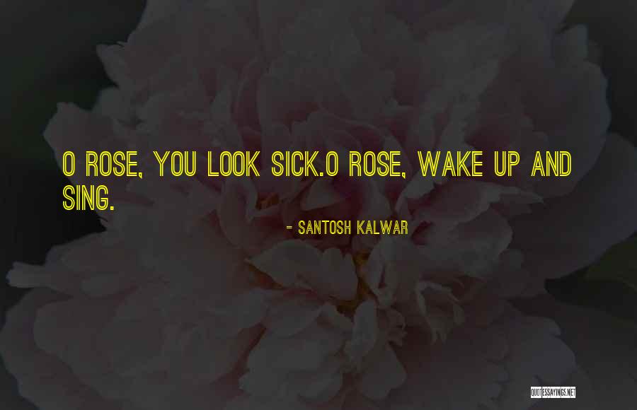 Reign Of Fire Quotes By Santosh Kalwar Reign Of Fire Quotes By Santosh Kalwar