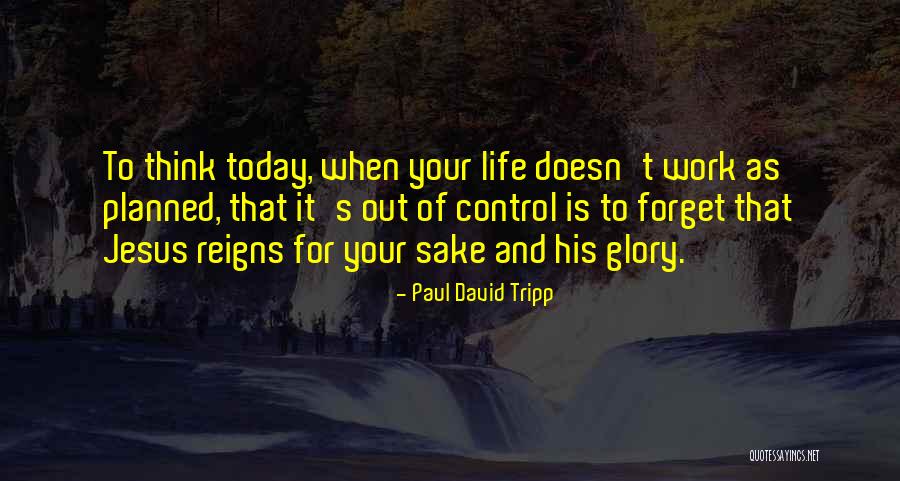 Reigns Quotes By Paul David Tripp