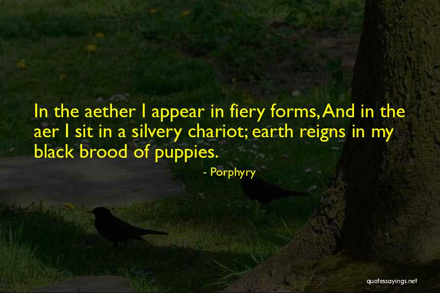 Reigns Quotes By Porphyry